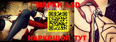 герыч Кингисепп