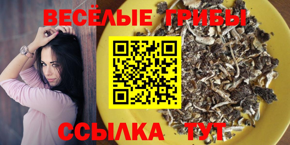 Псилоцибиновые грибы прущие грибы Кемерово
